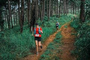 BIB: 
                            <button type="button" onclick="openModal(25695658)" class="btn btn-primary btn-sm float-right btn-popup" data-toggle="modal" data-target=".modal-high-quality">
                        <i class="fas fa-shopping-cart"></i> Add to Cart
                    </button>
                                            <button type="button" onclick="isThisMe(25695658, true)" class="btn btn-success btn-sm float-right btn-popup btn-isme hidden" data-toggle="tooltip" data-placement="bottom" title="นี่คือรูปของคุณใช่ไหม คลิกที่นี่เพื่อเอาเข้าอัลบั้ม">
                        <i class="fas fa-plus"></i> Add to album
                    </button>
                    <button type="button" onclick="isThisMe(25695658, false)" class="btn btn-warning btn-sm float-right btn-popup btn-isnotme hidden">
                        <i class="fas fa-ban"></i> Remove from album
                    </button>